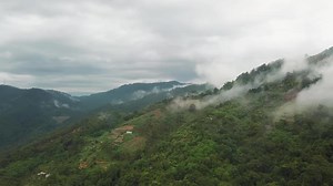Aerial view vegetable farm