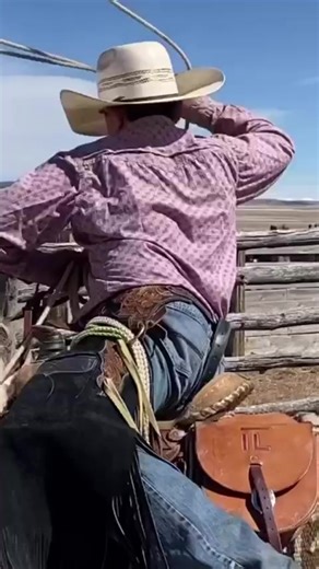 77K views · 2.2K reactions | Our pony, Pearl Snap, showing what she’s made of. Trey Bingham doing a great job with her. #cowpony #lowrider #cowboyin #ponies #diehardcowboy #punchy #performanceponies | DieHard Cowboy | Facebook