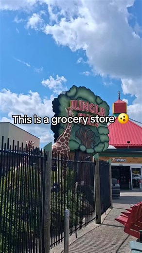 Yes, this is a grocery store! Jungle Jims International Market near Cincinnati to be exact. And it's crazy wonderful! #grocerystore #junglejimsinternationalmarket #cincinnati