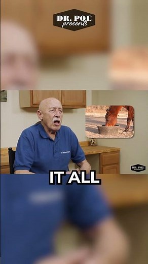 🌾 Feeding Horses 101 with Dr. Pol! 🥕#drpol #horse