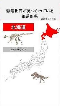 恐竜化石が見つかっている都道府県 #恐竜 #化石 #都道府県