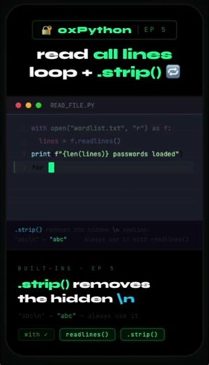 0xPython | Built-ins · Ep 5