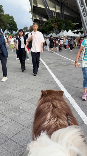 9.4K views · 565 reactions | Kimbo on Reels | Facebook