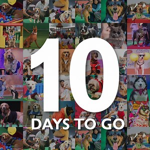 Tick, tock, tick! ⏰ #Chandigarh Just 10 more days until the newest...