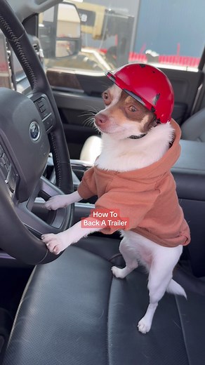 Training the new guy how to back a trailer #build #howto #trailer #construction #diy #contractor