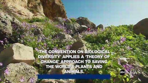 UN sets 2030 biodiversity deadline