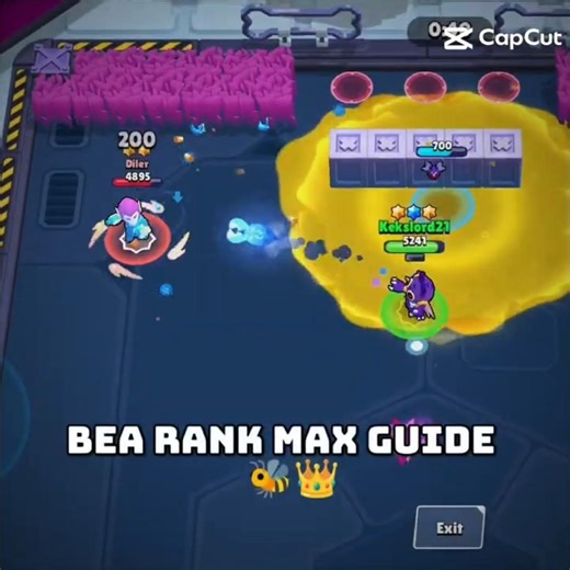 Bea Rank Max Guide? No Problem!🐝👑