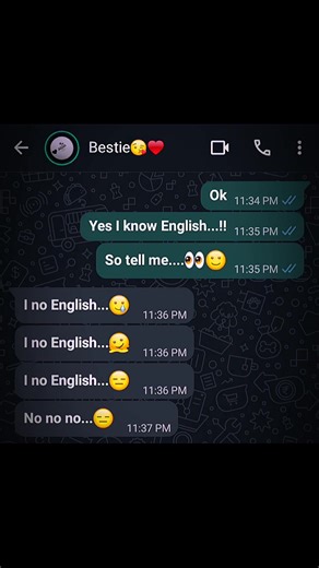Funny Chatting Video with Bestie | Hilarious Moments