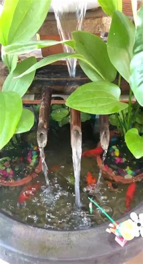 DIY Mini Fish Pond with Waterfall & Plants #shorts 184