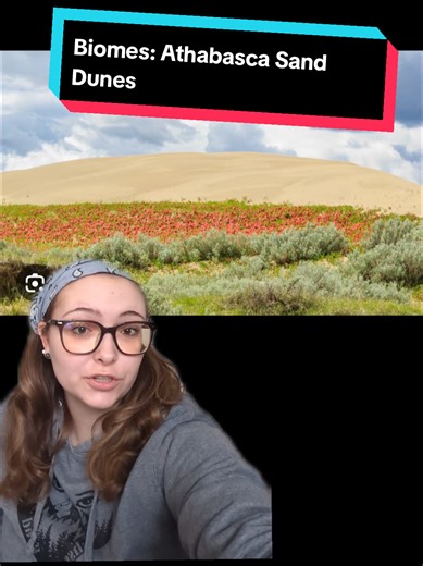 Biomes: Athabasca Sand Dunes #biomes #canada #athabascasanddunes #saskatchewan #sanddunes