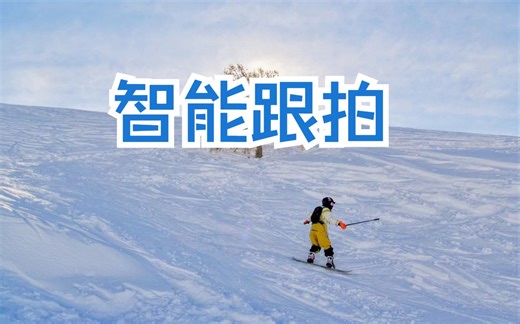 PanoX V2 | 智能跟拍教程