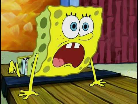 "You put Fluffy down right now!"