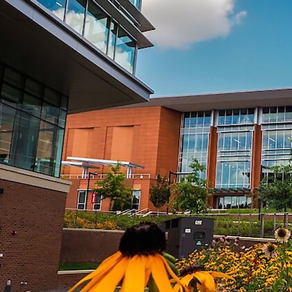 How Does North Carolina State University Rank Among America's Best Colleges?