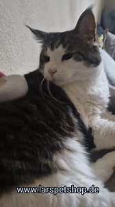 41K views · 419 reactions | Anwendung und Fragen zur Dampfbürste. Bitte nehmt keine ätherischen Öle.  Infos zur Dampfbürste in den Kommentaren.  | Lars Biermann | Facebook