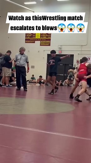 291 reactions · 150 comments | Crazy wrestling match escalates to blows mid match. #wrestling #sports #youthsports #WWE #wwf #wrestlingbrawls #brawls #fight #fights | Felty Shaun | Facebook