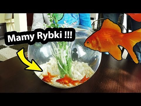 Rybki Akwariowe w Szklanej Kuli !!! - Ile to Kosztuje? (Vlog #271)