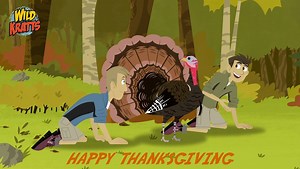 6.4K views · 328 reactions | Wild Kratts on Reels | Facebook