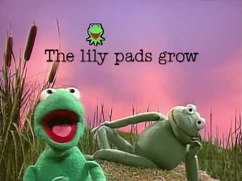 Muppet Sing-Alongs: Billy Bunny's Animal Songs - Frog Talk (1990)