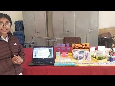 Tri-Tech Revolution project 