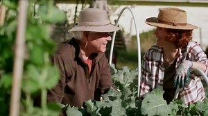 Texas Farm Bureau Insurance TV Spot, 'Protecting All Texans'