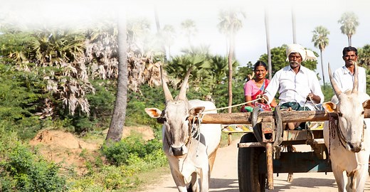 Visit Anantapur - Rural Development Trust