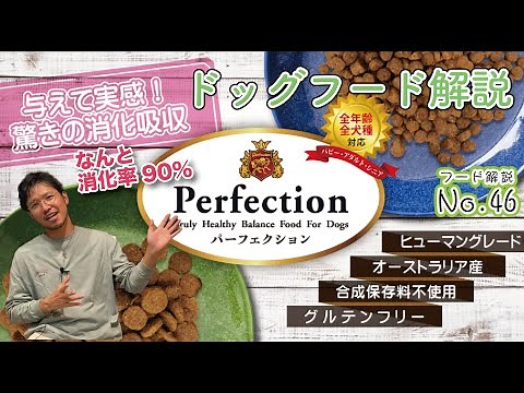 【ドッグフード解説】Perfection!!消化率90％のフードの中身とは