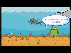 Food Chain Animation