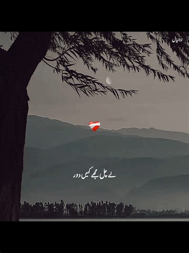 Main Vari Jaunga 🖇️🫶🕊️ Lyrics Status