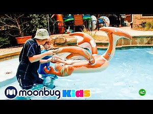 Dinosaur at the Pool with Baby T-Rex | T-Rex Ranch Adventures | Kids Songs | Moonbug Kids