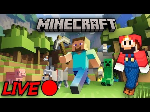 Playing On My Friends Minecraft Server Chill Vibes | Viewers Can Join