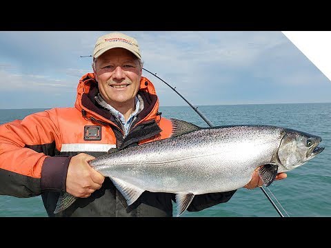 Catching King Salmon | Simple Fishing