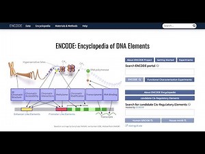 ENCODE Portal Introduction ASHG 2020