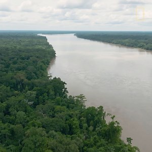 42 reactions |  Join us for an #EarthDay Virtual Field Trip!  3...