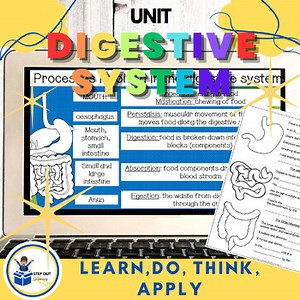 Digestive system activities, worksheets, center practicals & slides 9th grade