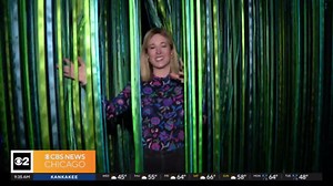 Need a spring break activity? Check out the Color Factory