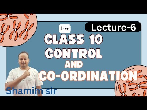 Class 9 Science Chapter 6 | Tissues | Complete NCERT Explanation