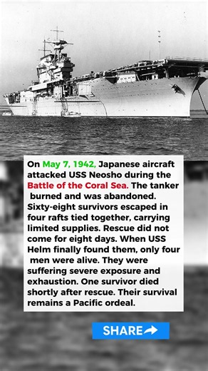 They Survived 8 Days on a Raft After Their Ship Was Destroyed #history #militaryeverything #ww2