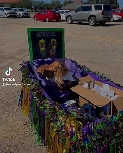 40K views · 6.6K reactions | Krewe of Barkus and Meoux Mardi Gras parade in Shreveport this morning. #woodyandhazel2022 Krewe of Barkus & Meoux | Adventures of Woody and Hazel | Facebook