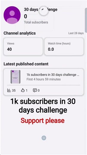 1k subscribers in 30 days challenge