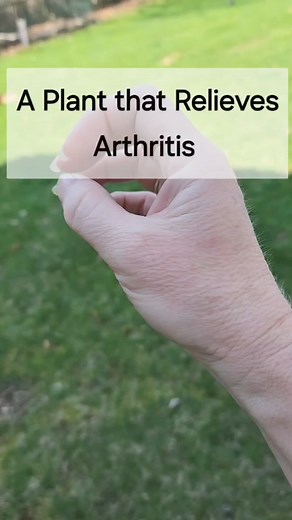 1.1K views · 19 reactions | Stops my arthritis in it's tracks but...