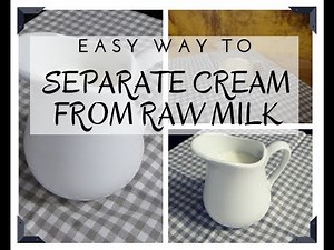 How to separate cream from raw milk using Swiss Vintage farmhouse tool