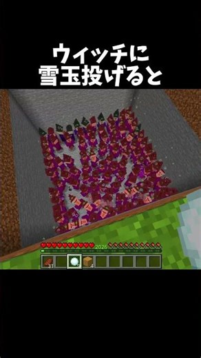 What happens when you throw a snowball at a witch? #Minecraft