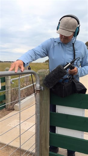Free To Use Sounds on Instagram: "KEEP THE VOLUME DOWN! This might be the loudest squeaky gate we’ve ever found. 😅 Definitely time for the oil can. 2025 is almost done, and what a year it’s been. We spent over 130 days in Australia alone, traveling from the Sunshine Coast to Cairns, Darwin, Broome, Perth, Adelaide… and reached this gate somewhere near Melbourne. But Australia isn’t over yet. 🇦🇺 Our car is in storage right now, but we’ll be back by the end of February, heading straight to Tasm