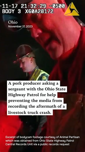 When a semi-truck hauling 1,900 piglets crashed, a livestock farmer approached the Ohio State Highway Patrol to ask a favor: direct the media to stop filming before the emergency crew unloads the dead piglets from the trailer. This is part of a broader pattern of police deference to the meat industry in preventing media access. In videos from three livestock crashes reviewed by Sentient, police deliberately block the media’s access to crash sites beyond what is reasonable to protect public safet