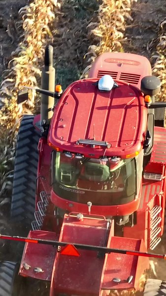 Harvesting Adventures: Captivating Farming Clips