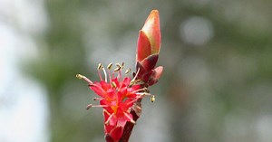 What Are Your Favorite Things About Spring?