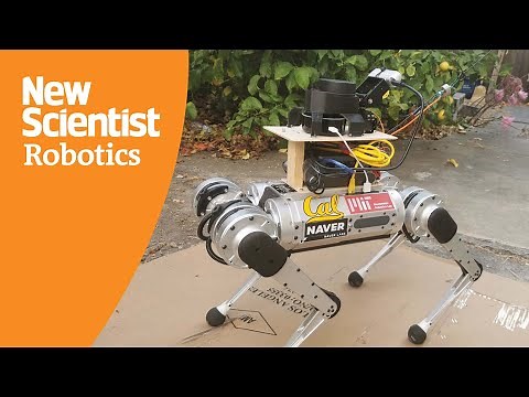 Robot guide dog could help people who are blind navigate