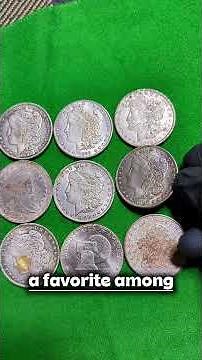 Morgan Dollar Coin Value Guide – Dates & Mint Marks to Look For