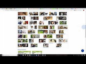 In 20 minutes: Build an AI pet breed classifier with Deep Learning... 20 minutes & 50 cents.