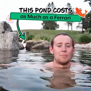 4.9K views · 22 reactions | Abandoned Swimming Pool Becomes Pond! | Greg Wittstock the Pond Guy | Facebook